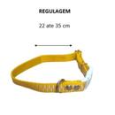 Coleira para cachorro PET NOME GRAVADO + Guia + Plaquinha de Identificação