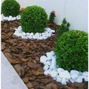 Casca de Pinus Natural P ou M Decoração Jardinagem Semi Polida 3L ate 40Litros Gold Plant