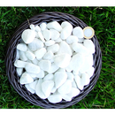 Kit 2x Pedra Dolomita Branca Seixo Decorativa para Vasos e Jardins Ornamentais - 1,8 kg