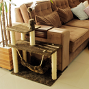 Kit Brinquedo Mola Maluca Gato e Arranhador Sisal 3 Bases