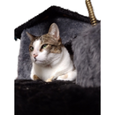 Arranhador Casa Alta para Gatos 3 Plataformas Rede Grande Brinquedo Torre Poste Sisal e Bola de Pelúcia - Miupet