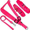 coleira com nome kit personalizado peitoral com guia cachorro