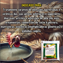 Imuno Aves 2 pacotes de 400g Homeopático para Tratar Infecção Aves Galinhas