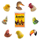 Kits Suplemento Mineral Com Vitamina Para Galinha Frango Patos Averin 1Kg Aves Com Coccidiose