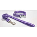 Coleira Para Cães ou Gatos com Guia + Plaquinha de Identificação Gravada