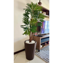 Pedra Seixo Branco de Jardim Dolomita 05 kg - PREÇO DE FABRICA - Para decoração de vasos e jardins