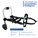 Cadeira de rodas para pets com rodas auxilia mobilidade de cães com paralisia ou problemas neurológicos