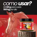 Creatina Max Calbos Suplemento para Cavalos Atletas - 500g