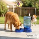 Base para Bebedouro Automático Cães Grande Porte 10/20 Litros Água Fresca Sem Reposição