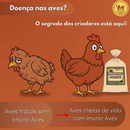 Imuno-aves 400g para tratar e previnir doenças em aves
