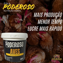 Poderoso Aves Núcleo Mineral Vitamínico P Todas As Fases 1kg