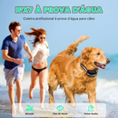 Coleira Colar Adestramento Cães Cachorro Recarregável com controle impermeável Cão grandeCão pequeno