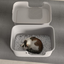 MIW Caixa de Areia para Gatos Extra Grande Anti Espalhamento Modo Duplo Desmontável Ideal para Gatos Grandes