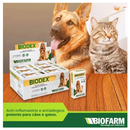 02 Antiinflamatório Para Cães e Gatos Biodex Cartela 20 Comp