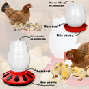 Comedouro 3,5 Kg e Bebedouro 2 L Alimentador Automático Aves Galinha Pintinho Granja Galinheiro