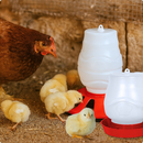 Comedouro 3,5 Kg e Bebedouro 2 L Alimentador Automático Aves Galinha Pintinho Granja Galinheiro