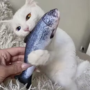 Brinquedo Simulado De Gato De Peixe , Interativo De Dentição Para Gatinhos , Suprimentos Não Elétricos Animais De Estima